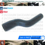 New Jaguar XJ40 X300 V12 94-96 6.0L Top Radiator Hose CCC2800