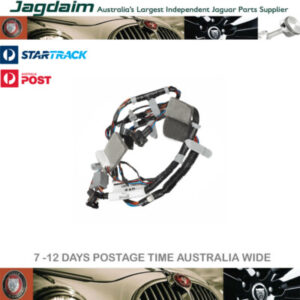 New Jaguar Harness C2C39187