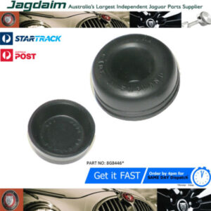 New Jaguar MK2 S-Type E-Type XJ6 V8 250 Clutch Slave Cylinder Repair Kit 8G8446