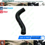 New Jaguar Daimler V8 250 Bottom Radiator Hose C21389