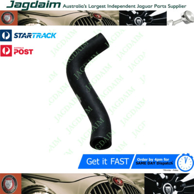 1-299.jpg New Jaguar Daimler V8 250 Bottom Radiator Hose C21389 - Image 1