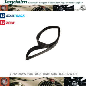 New Jaguar Rear Door Glass Run Seal LH GNA2291AE