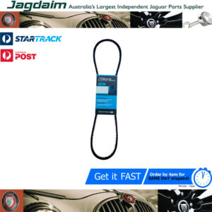 New Jaguar XJ12 S1 V12 Air Pump Drive Fan Belt V-Belt 13A1270 C38335