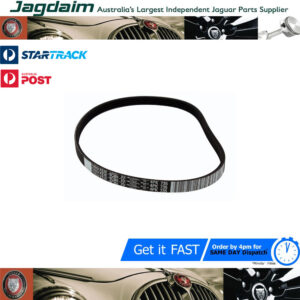 New Jaguar X-Type Engine Drive Belt JD61137
